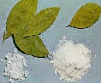 cocaina007