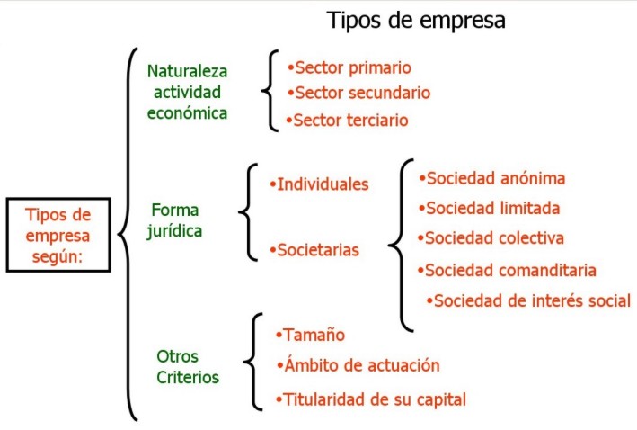 empresa_TiposMC