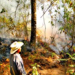 http://www.launion.com.mx/images/2013/diciembre/27-dic/cuautla/26-3incendios-.JPG