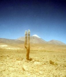 desierto005