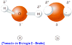 molecula001