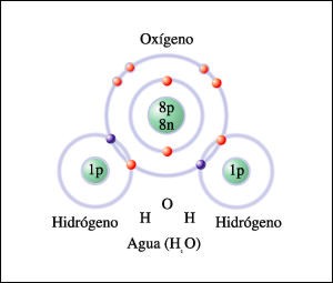 molecula004
