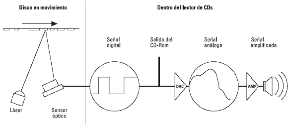 lectorCd005