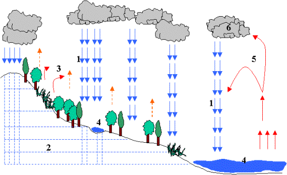 ciclo del agua