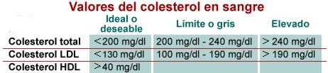 colesterol006