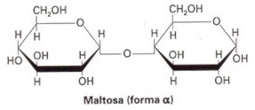 disacaridos001