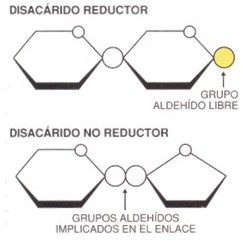 disacaridos003