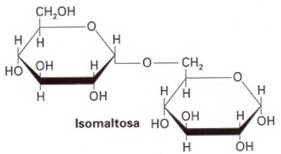 disacaridos004