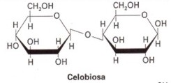 disacaridos005