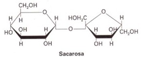 disacaridos006