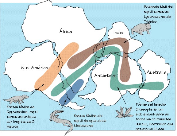 paleontología