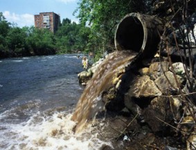 contaminacionenfermedad009