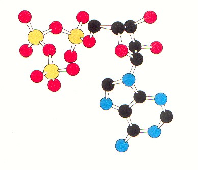 Energía química y combustión