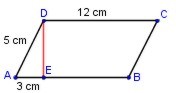 Romboide_area_per010