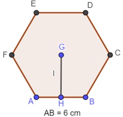 apotema013