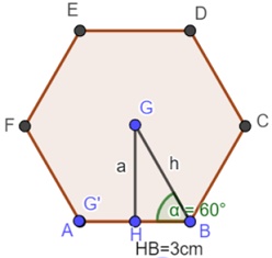 apotema015